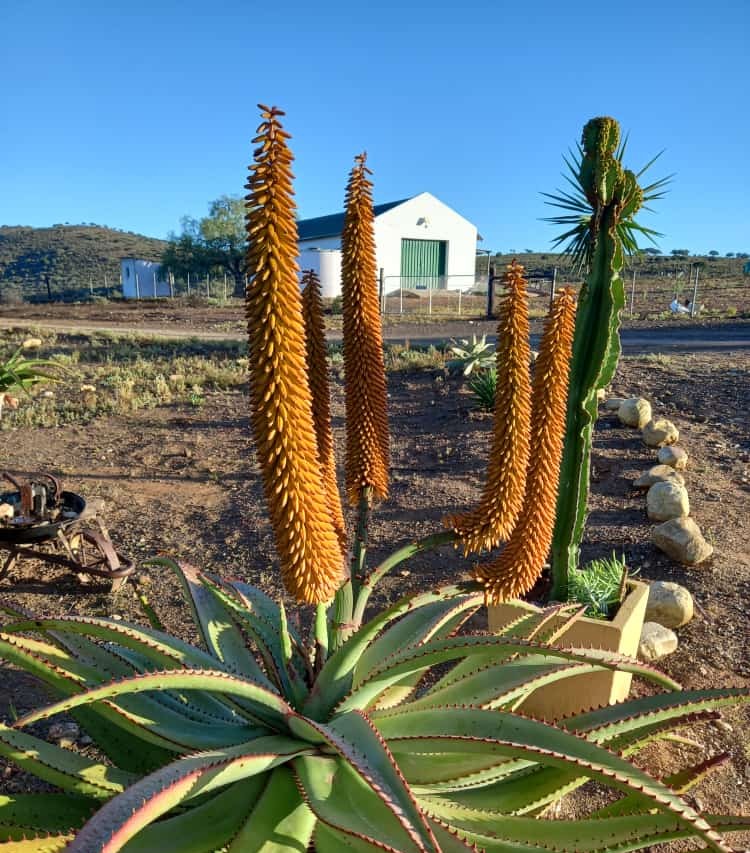 4 Bedroom Property for Sale in Uitenhage Rural Eastern Cape